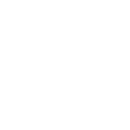 Content Bug